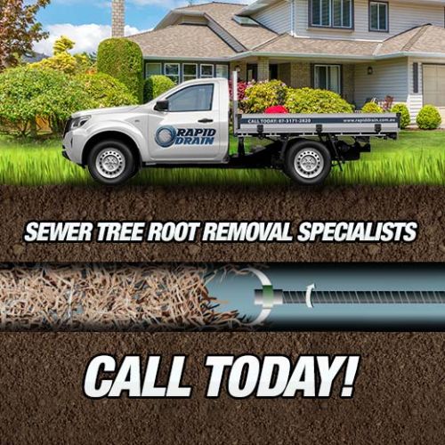 Sewer Tree Root Removal Specialists In Eagle Farm